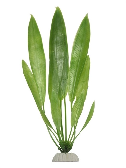 Plastik Anubia lanceolata 30 cm.